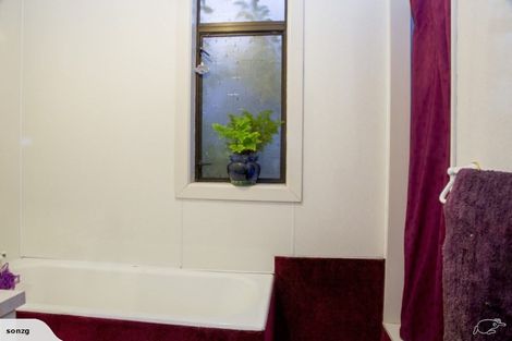 Photo of property in 51 Walker Street, Bluff, 9814