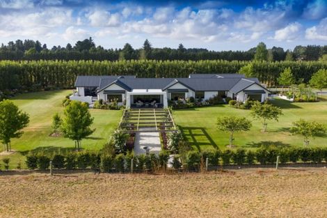 Photo of property in 158 Racecourse Road, Allenton, Ashburton, 7700