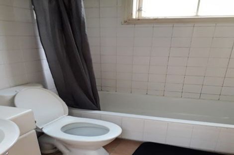 Photo of property in 54 Salamanca Road, Kelburn, Wellington, 6012