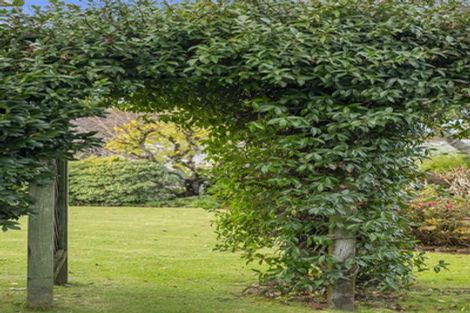 Photo of property in 128 Boucher Avenue, Te Puke, 3119