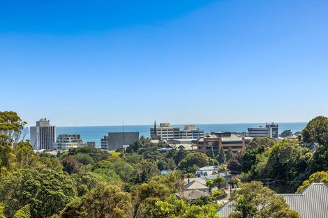 Photo of property in 84b Carrington Street, Lower Vogeltown, New Plymouth, 4310