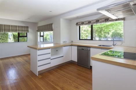 Photo of property in 53a Opawa Road, Waltham, Christchurch, 8023