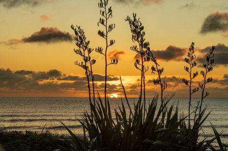 Photo of property in 121 The Parade, Paekakariki, 5034