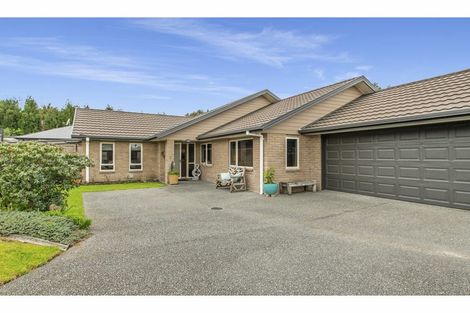 Photo of property in 4 Arthur Grove, Bethlehem, Tauranga, 3110