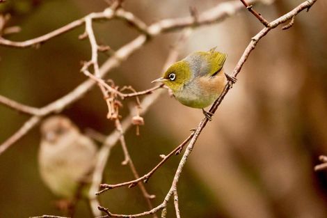 Photo of property in 34 Ngahere Street, Stokes Valley, Lower Hutt, 5019