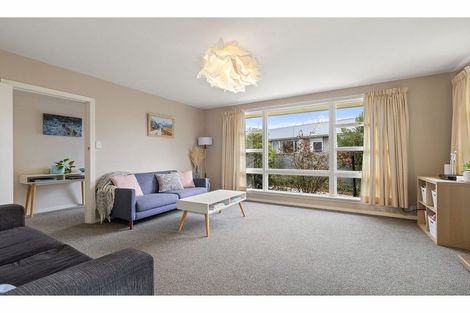 Photo of property in 156 Warren Crescent, Hillmorton, Christchurch, 8025