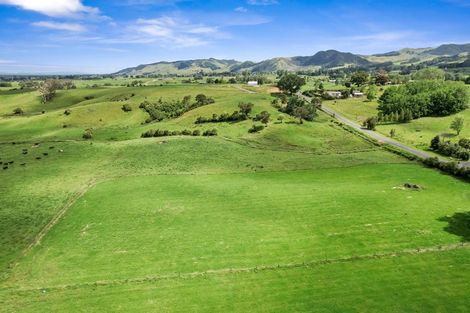 Photo of property in 115 Rawhiti Road, Pukerua Bay, 5026