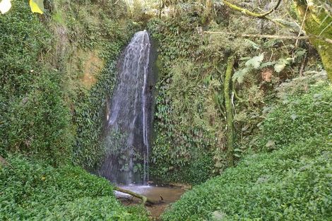 Photo of property in 66 Hooker Road, Tamahere, Hamilton, 3283