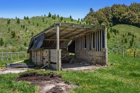 Photo of property in 414 Matahi Road, Rotoma, Whakatane, 3194