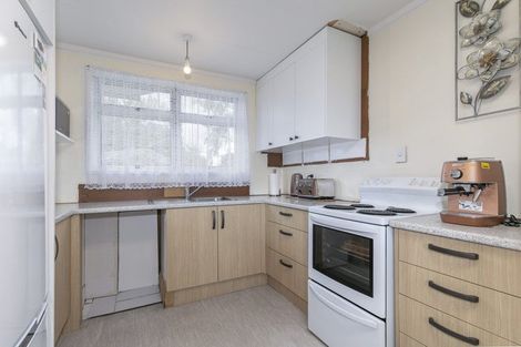 Photo of property in 19 Caesar Roose Place, Huntly, 3700