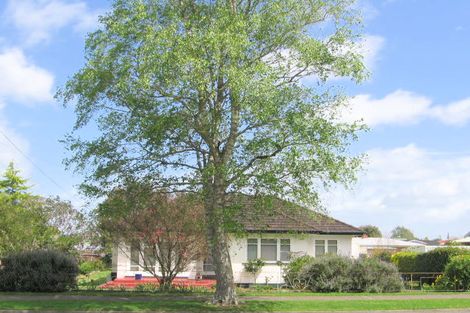 Photo of property in 123 Studholme Street, Morrinsville, 3300