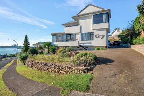 Photo of property in 67 Haukore Street, Hairini, Tauranga, 3112