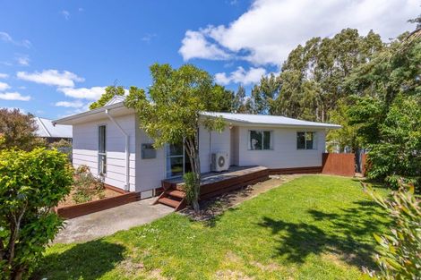 Photo of property in 16 River Road, Masterton, 5810