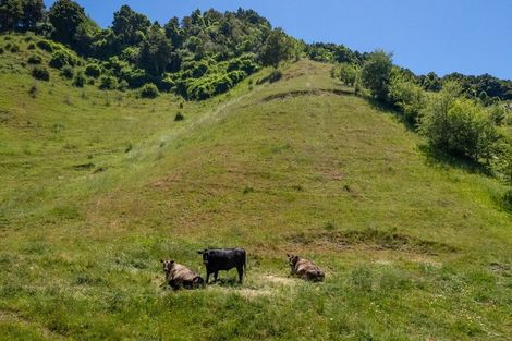 Photo of property in 80 Garden Valley Road, Wairoa Valley, Brightwater, 7091