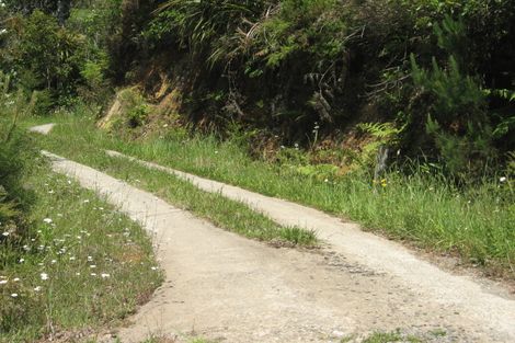 Photo of property in 403 Woodland Road, Tahawai, Katikati, 3170