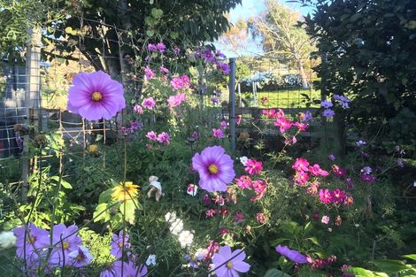 Photo of property in 54 Tiraumea Road, Pahiatua, 4981