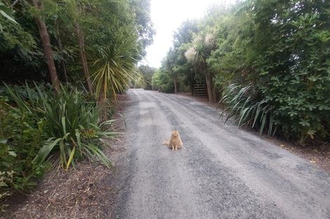 Photo of property in 144 Otaihanga Road, Otaihanga, Paraparaumu, 5036