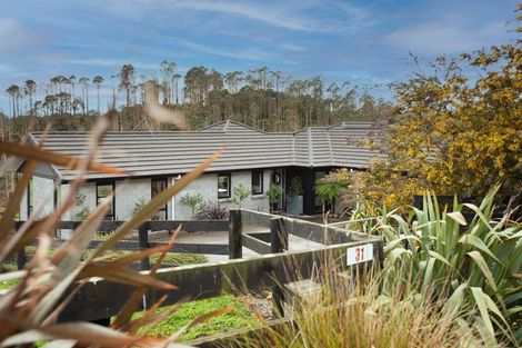 Photo of property in 31 Wildwood Lane, Matamata, 3472