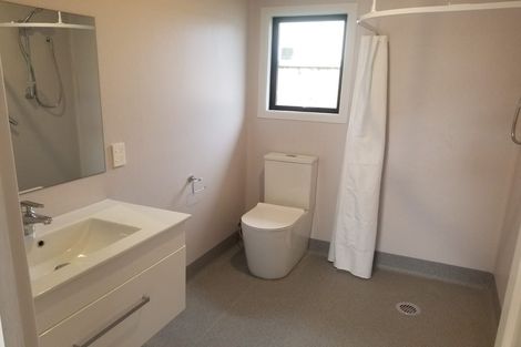 Photo of property in 109 Nixon Street, Hamilton East, Hamilton, 3216