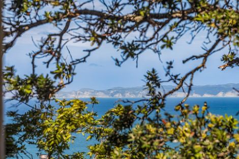 Photo of property in 14 Elizabeth Road, Bluff Hill, Napier, 4110