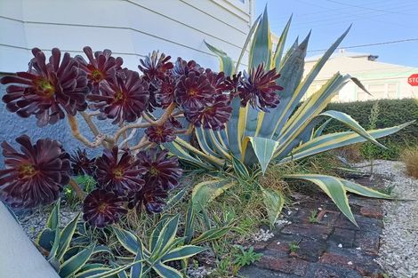 Photo of property in 141 Hanson Street, Newtown, Wellington, 6021