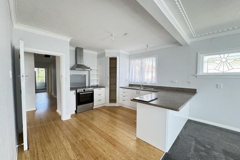 Photo of property in 61 Johnson Street, Milton, 9220