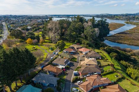 Photo of property in 1b Begonia Way, Greerton, Tauranga, 3112