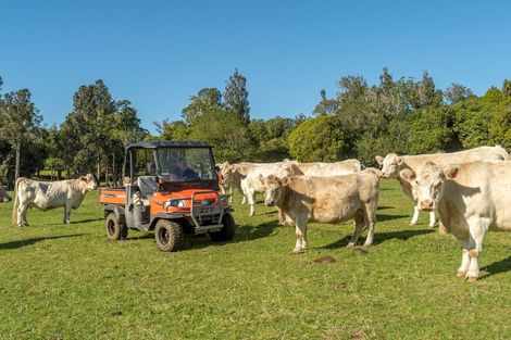 Photo of property in 163 Ross Road, Whakamarama, Tauranga, 3179