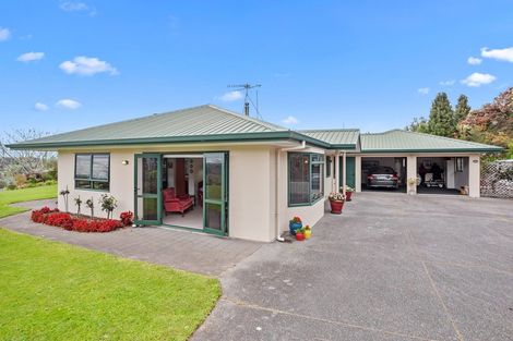 Photo of property in 265 Hot Springs Road, Tahawai, Katikati, 3178
