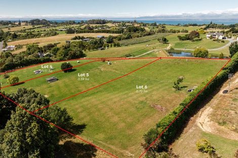 Photo of property in 43 Foley Road, Tasman, Upper Moutere, 7173