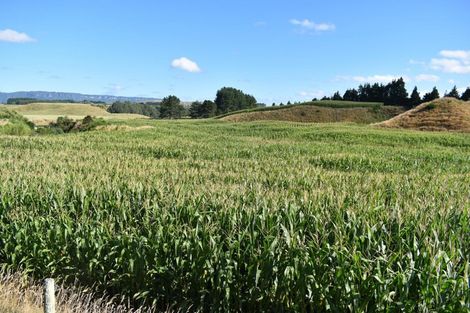 Photo of property in 936 Mangatete Road, Ngakuru, Rotorua, 3077