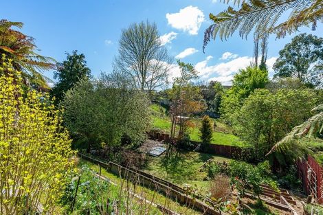 Photo of property in 65 Arapuni Street, Putaruru, 3411