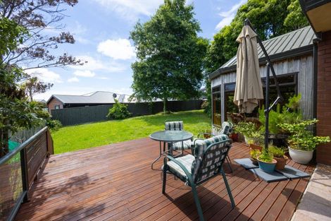 Photo of property in 44 Alfred Street, Roslyn, Palmerston North, 4414