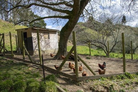 Photo of property in 1207 State Highway 33, Okere Falls, Rotorua, 3074