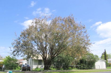 Photo of property in 125 Studholme Street, Morrinsville, 3300