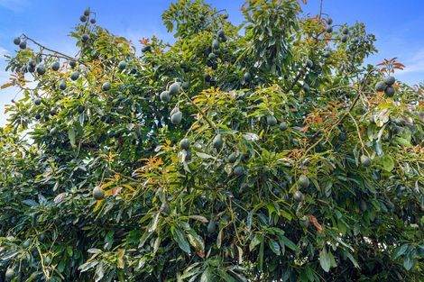 Photo of property in 25 Lucerne Place, Welcome Bay, Tauranga, 3112