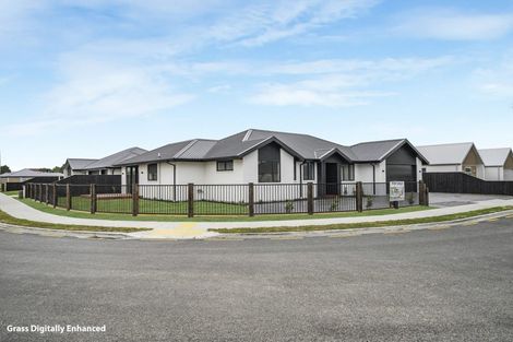 Photo of property in 54 Greig Crescent, Amberley, 7481