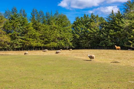 Photo of property in 12 Prices Road, Havelock, 7178