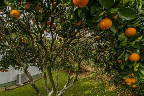 Photo of property in 20 Cook Drive, Whitianga, 3510