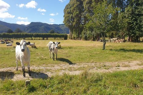 Photo of property in 70 Central Takaka Road, Takaka, 7183