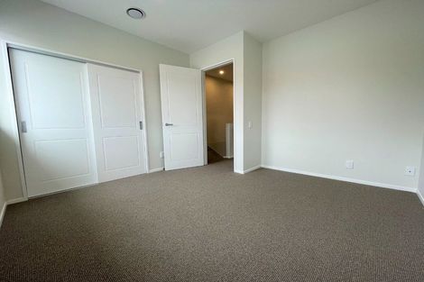 Photo of property in Aniva Terrace, 18 Ferguson Street, Newtown, Wellington, 6021