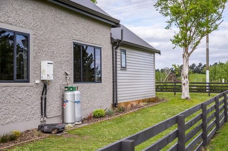 Photo of property in 423 Tipapakuku Road, Dannevirke, 4976