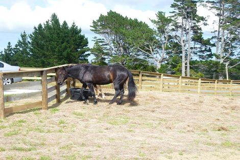 Photo of property in 1400 Kaipara Coast Highway, Kaukapakapa, 0984