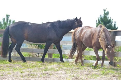 Photo of property in 1400 Kaipara Coast Highway, Kaukapakapa, 0984