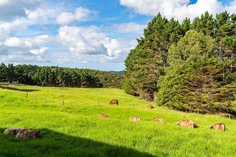 Photo of property in 1086 Pohuehue Road, Pohuehue, Warkworth, 0983