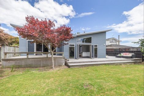 Photo of property in 9 Macarthur Street, Levin, 5510