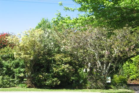 Photo of property in 22 Seymour Road, Inner Kaiti, Gisborne, 4010