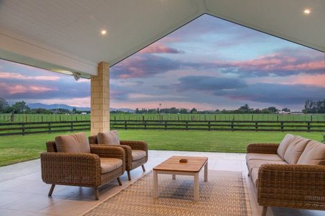 Photo of property in 2/53 Jellicoe Street, Greytown, 5712