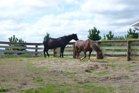 Photo of property in 1400 Kaipara Coast Highway, Kaukapakapa, 0984