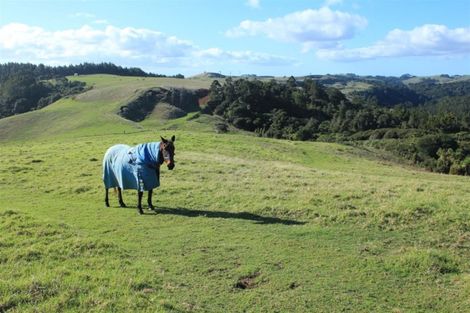 Photo of property in 71b Taiapa Valley Road, Muriwai, 0881